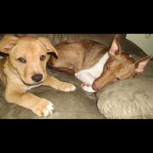 Meet your Posher, Jenny - Picture 7 of 7